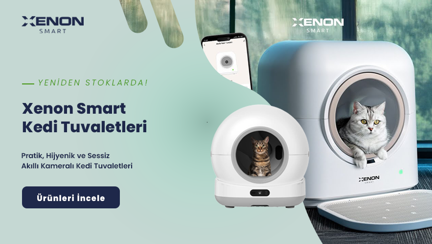 Xenon Smart Kedi Tuvaletleri
